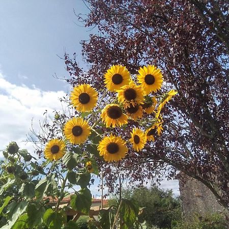 לינה וארוחת בוקר La Bernardiere Les Tournesols מראה חיצוני תמונה