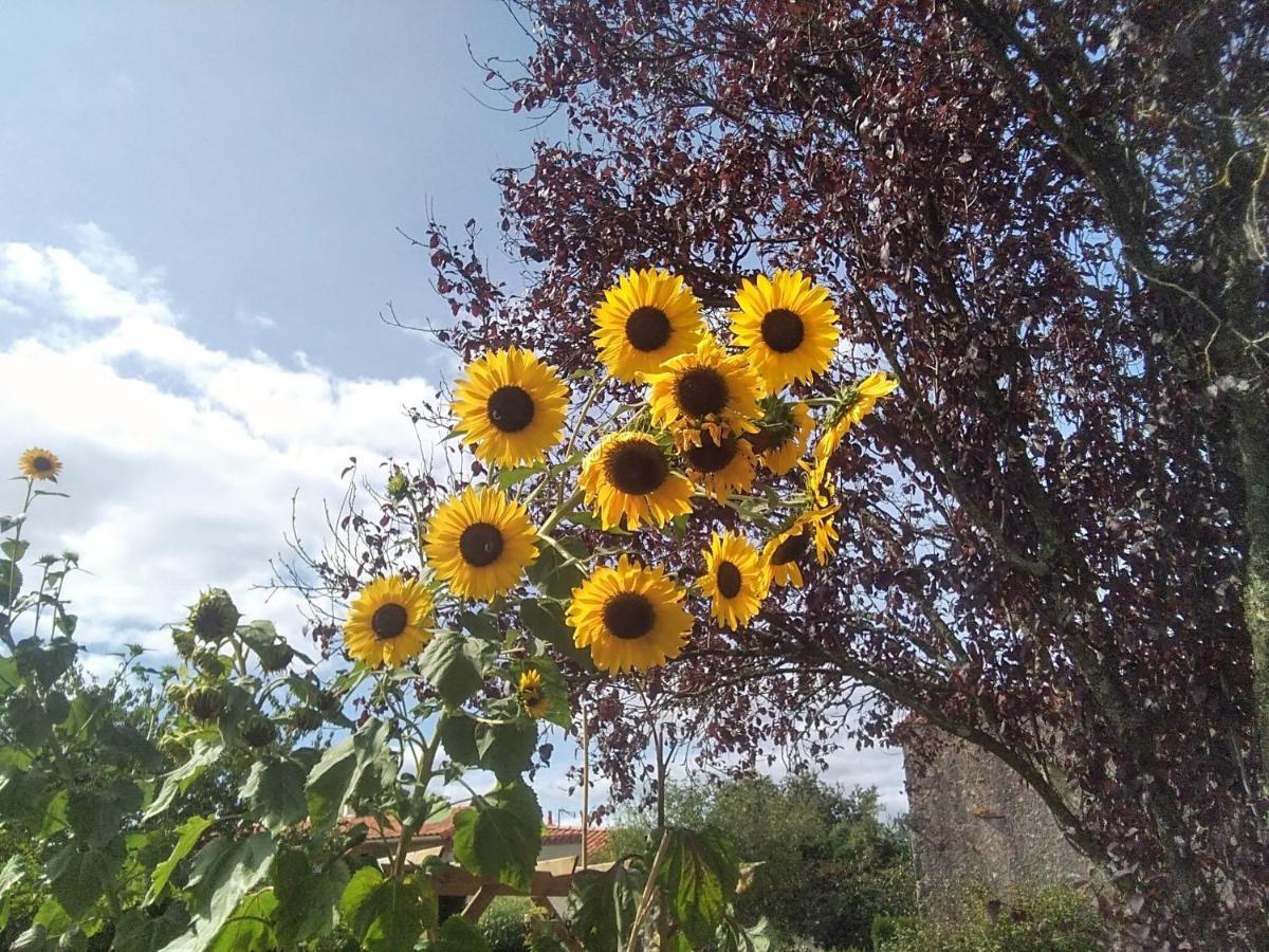 לינה וארוחת בוקר La Bernardiere Les Tournesols מראה חיצוני תמונה