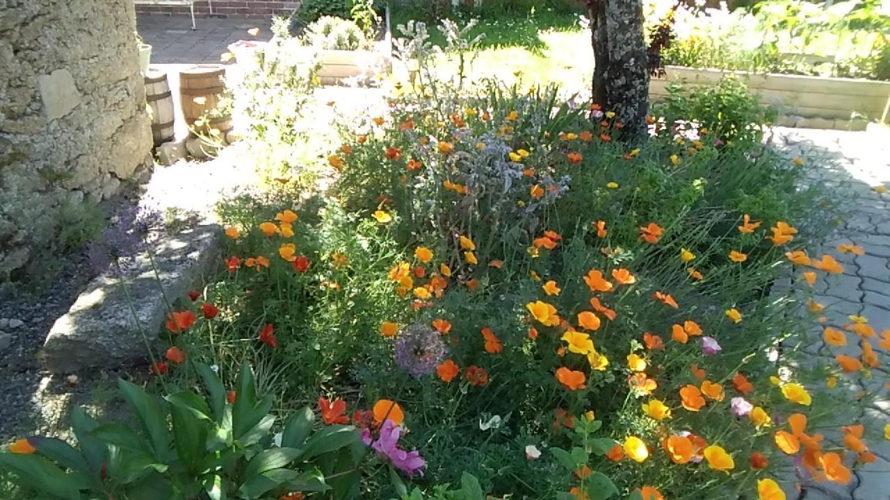 לינה וארוחת בוקר La Bernardiere Les Tournesols מראה חיצוני תמונה